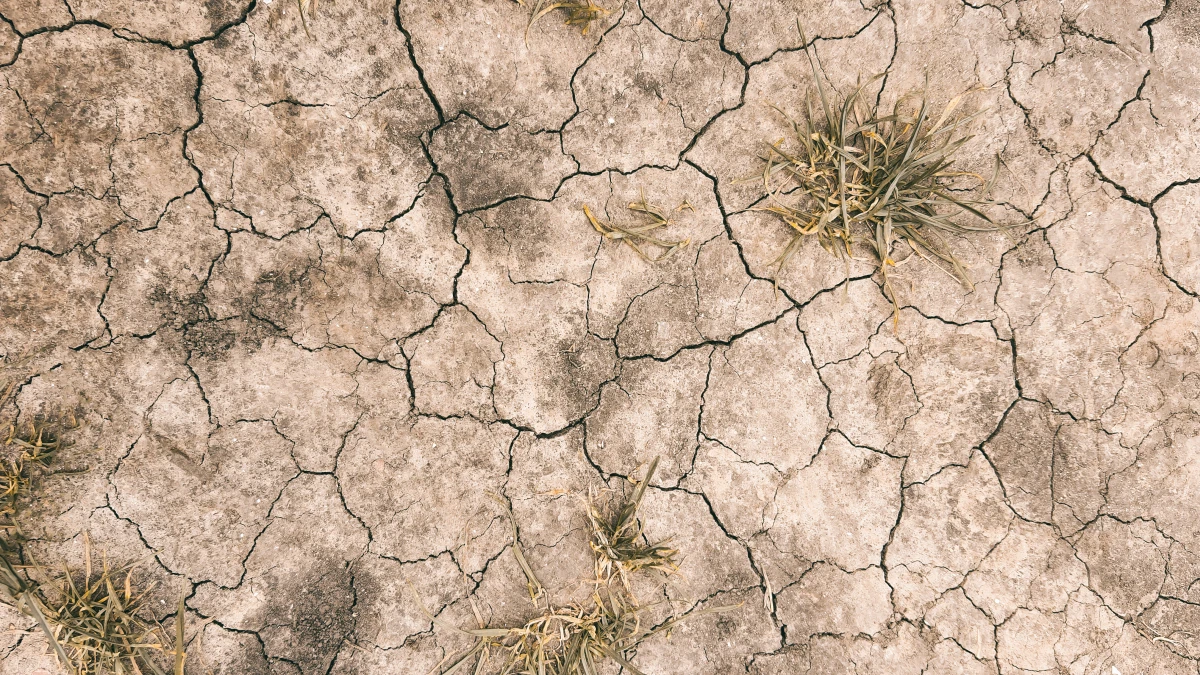 La justice environnementale : un nouveau paradigme pour la protection de notre planète
